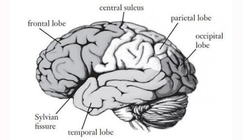 19:48:36 GMT-0500 (CDT)