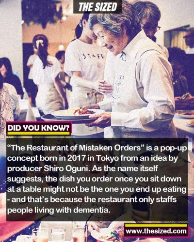 242552672_388251546074502_7438515010843431951_n