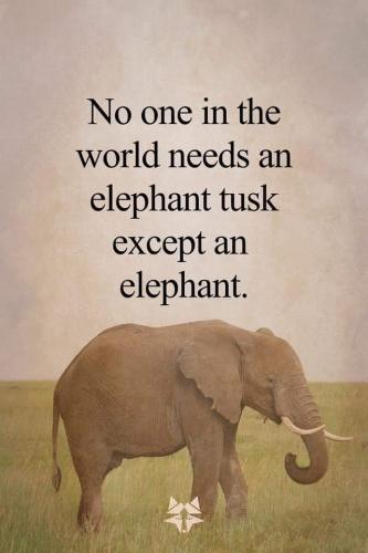 FB_IMG_1630260757624