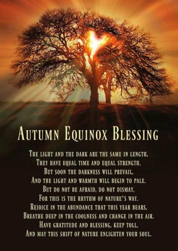 242671724_389600062736128_1254281732609260668_n