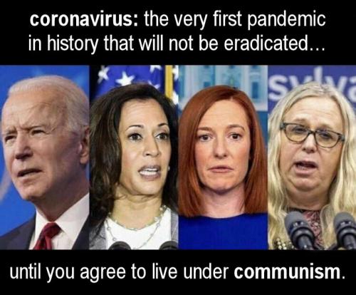coronavirus1293