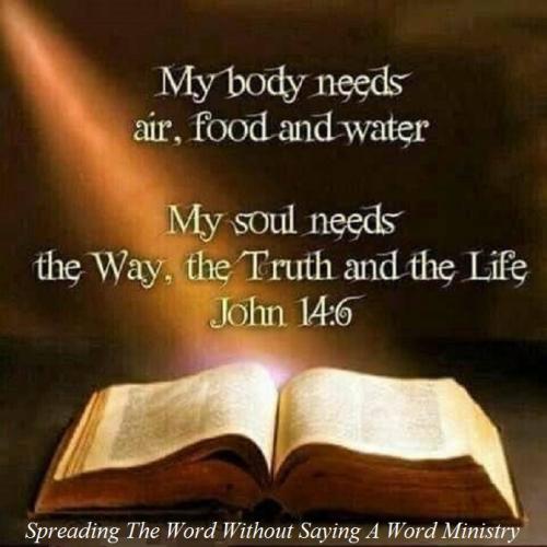 241676383_400542278098378_4493063157514411632_n