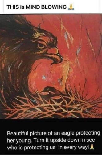 237498182_4287216174705945_6474795321586520934_n