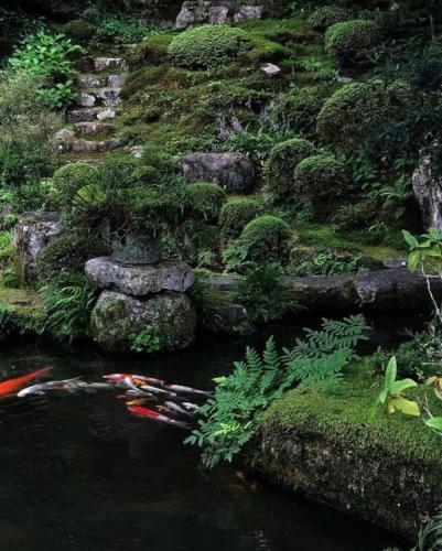 241309139_391586312337377_7595295634299774800_n