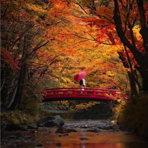 242587324_408403640626884_7952648443978468541_n