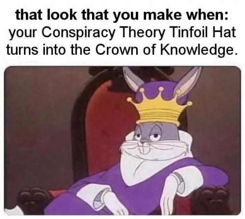 conspiracy theory31