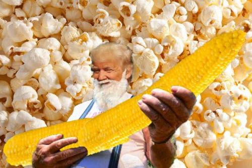 trump harvest