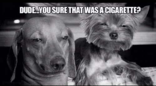 Screenshot_20210918-180926-028