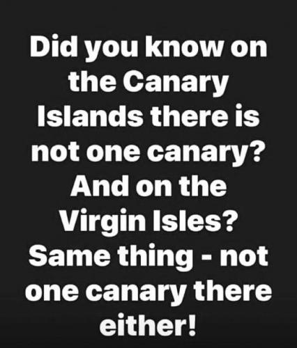 tumblr_e89528a2a264d91abfb397762b039bff_d267f163_540