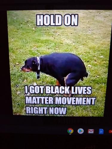 109737741_2562160957431505_562053596515833992_o