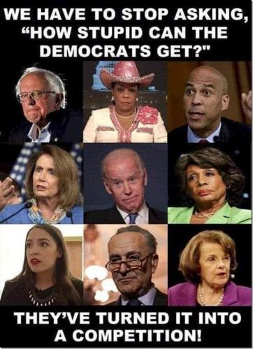DUMB DEMS
