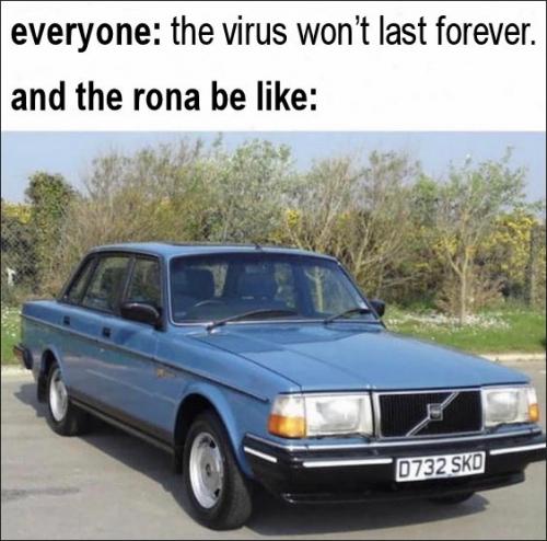 coronavirus1305