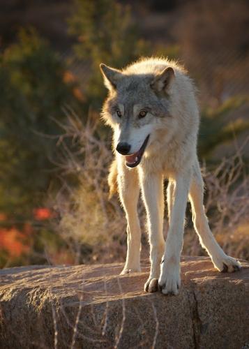 tumblr_b4f130ff6bab8e36e861b3154849e8f7_c2e3514f_500