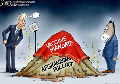 image_1631538069.996