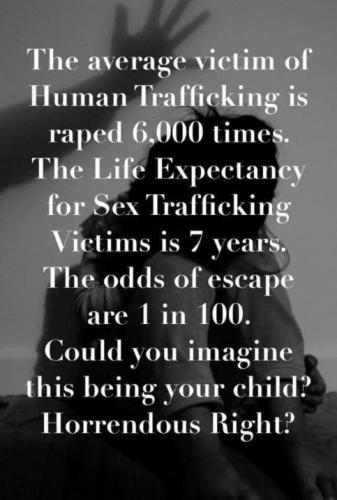 pizzagate103