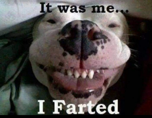 Screenshot_20210918-180949-218