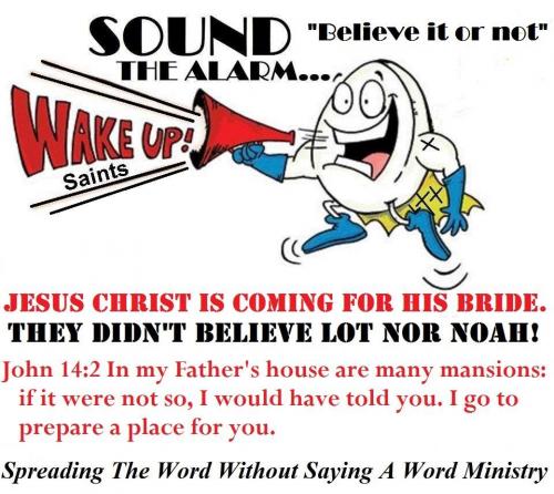 11988527_822095624556237_952756057530608812_n