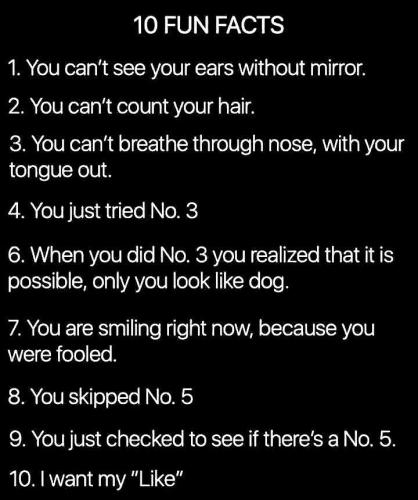 241688248_369815824606985_108963919115143385_n