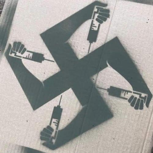 241733120_4862642373756357_2589500609908338750_n