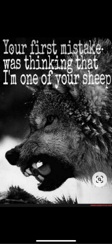 15:15:35 GMT-0500 (CDT).image