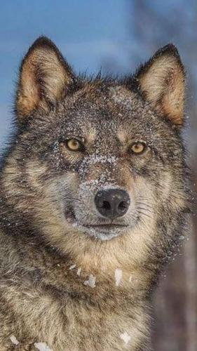 20:31:19 GMT-0500 (CDT)