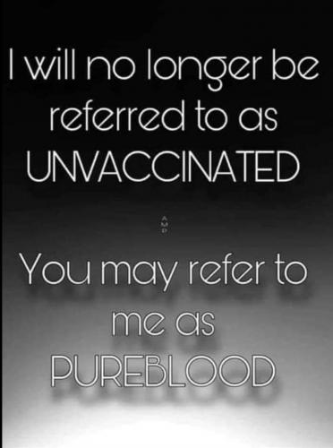 19:01:54 GMT-0500 (CDT)