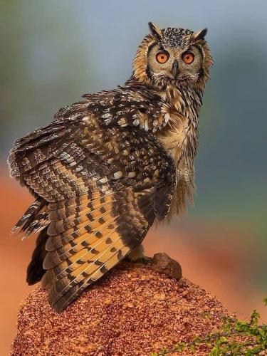 20:47:48 GMT-0500 (CDT)