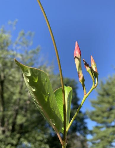 6E3DD80A-2BA8-47B0-A670-EB854937E9B7