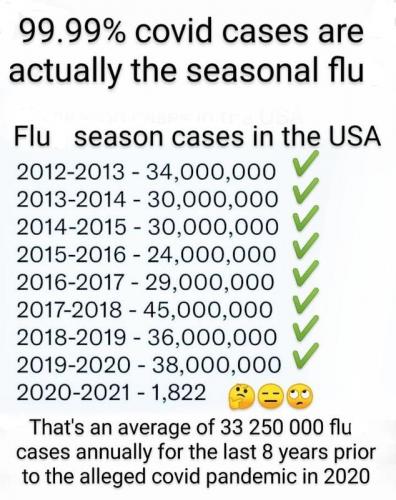 Plandemic Flu cases