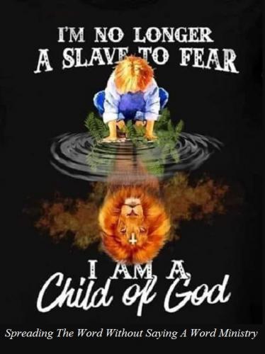 241571404_2112523322219195_2021960343446880148_n