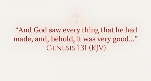 2BF64803-6729-4FB8-A8CC-E2300A2BD057