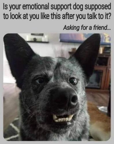 19:28:08 GMT-0500 (CDT)