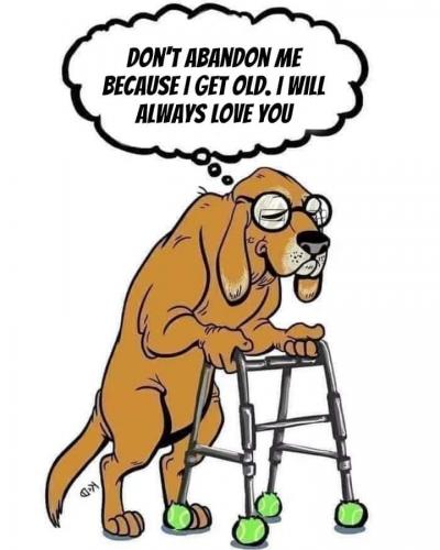 FB_IMG_1632377191951