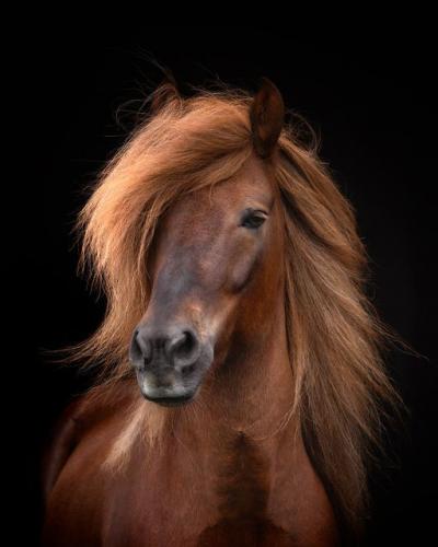 241256427_386196209542168_5485315677827369360_n