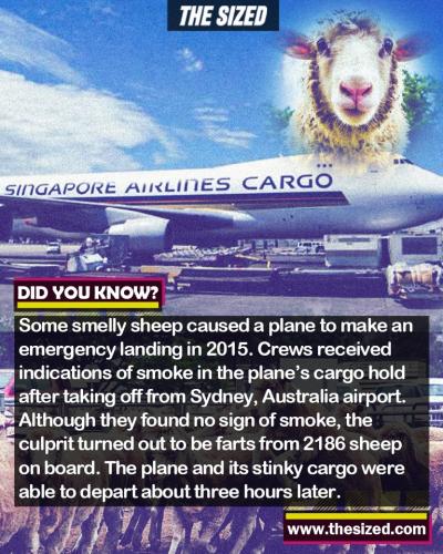 242471966_388142619418728_964611309361382675_n