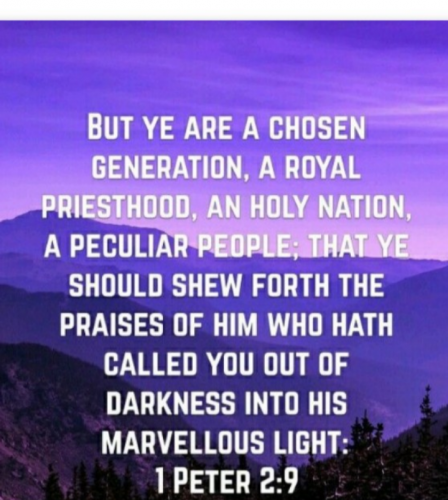 Screenshot_20210927-170228