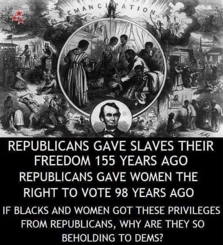 61289152_292979998312355_7914789754820886528_n