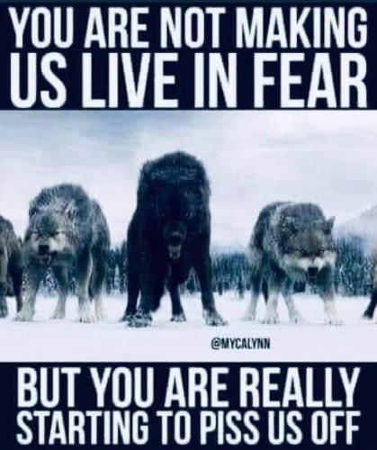 FB_IMG_1630482502478