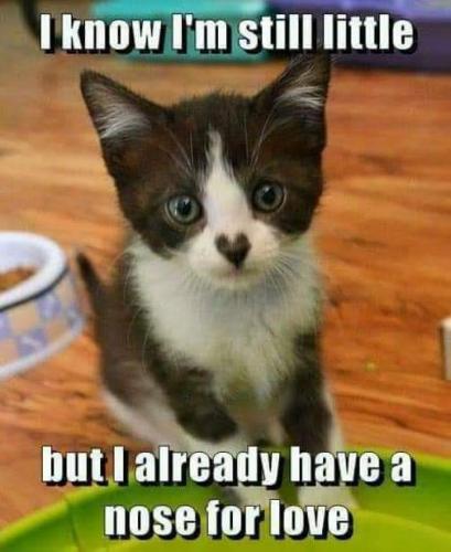 16:20:18 GMT-0700 (PDT)