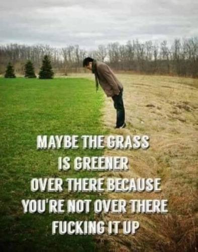 grass greener