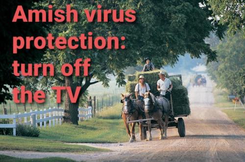 Amish Virus Protection