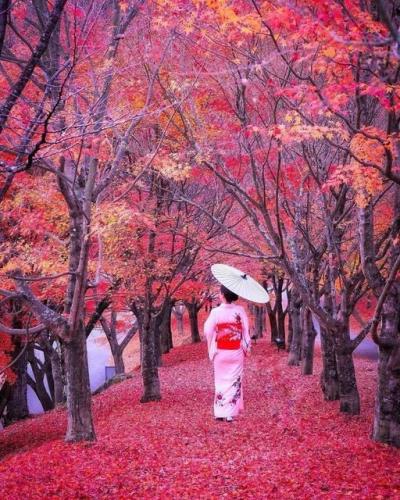 242879821_410432647090650_7118583755427411563_n