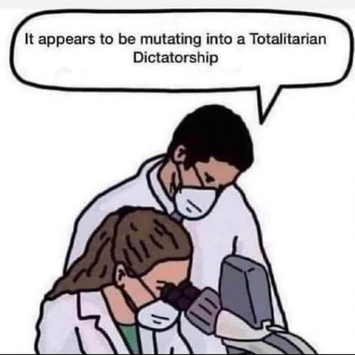 242030880_286121079993861_5597833039918700866_n