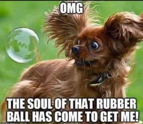 FB_IMG_1631739124142