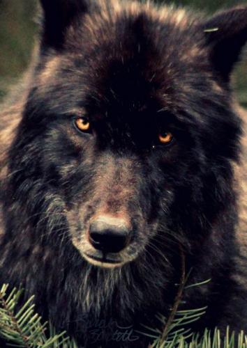 a7fd8156a8211c80aac991977c669f7c