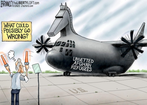 image_1631193411.354