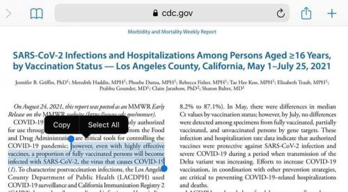 18:25:17 GMT-0500 (CDT)