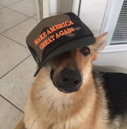 FB_IMG_1631464714423