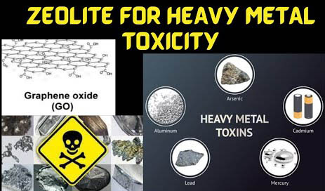 Zeolite for graphene oxide