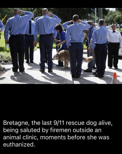 18:23:15 GMT-0700 (PDT).image